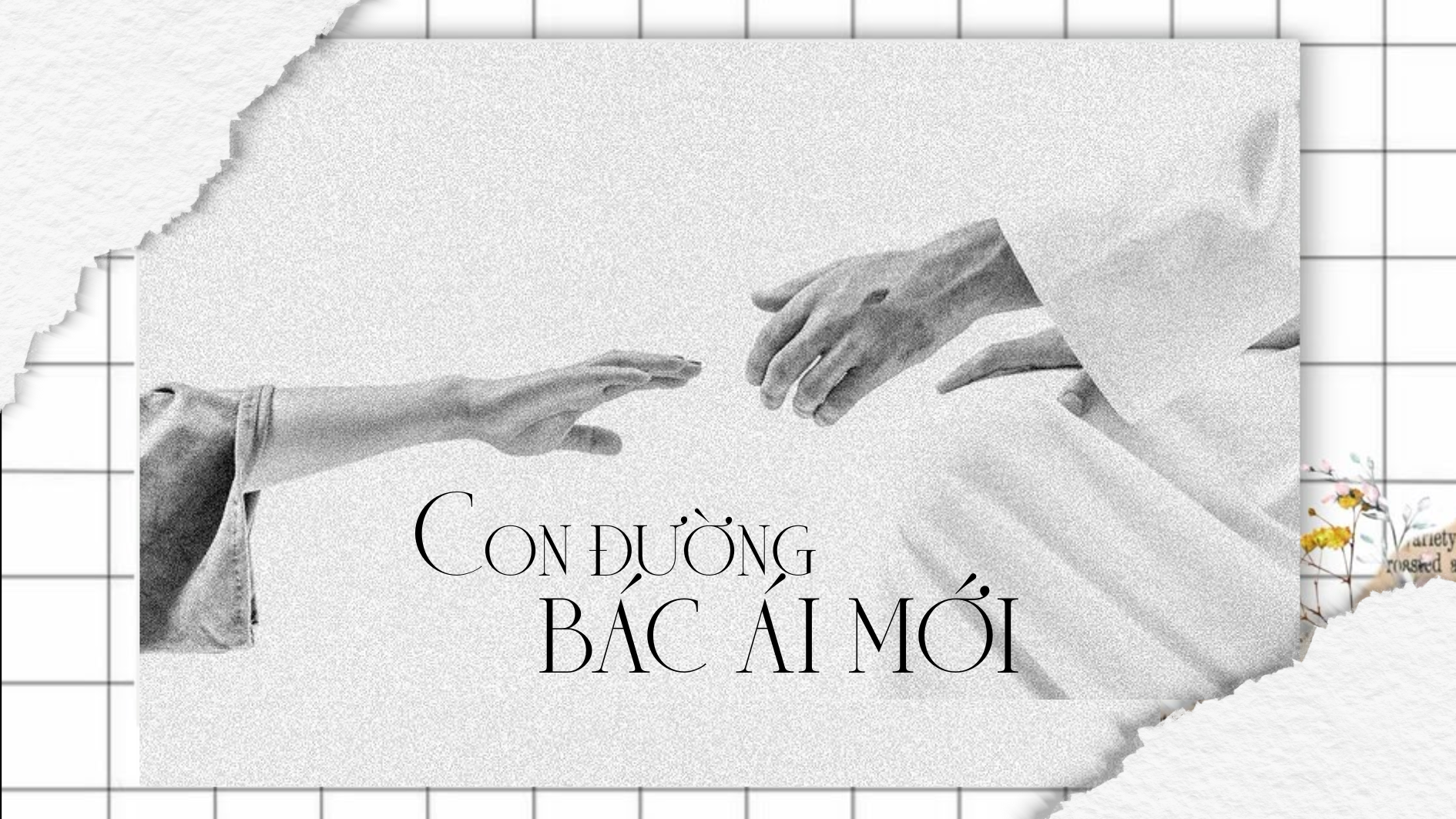 Con đường bác ái mới